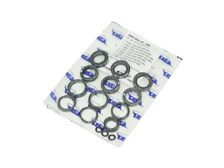 CAT Pump Seals Kit