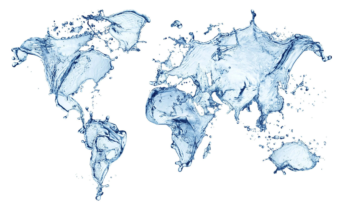 Global support