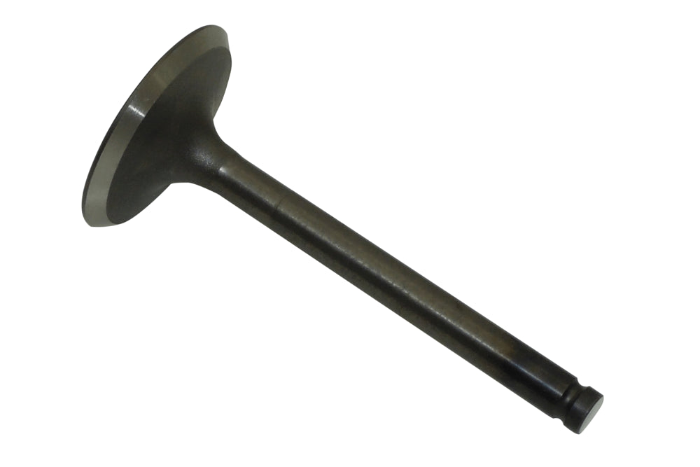 Inlet Valve - Paguro 3000-5000