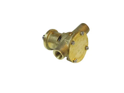 Raw Water Pump Complete - Paguro 3000-5000